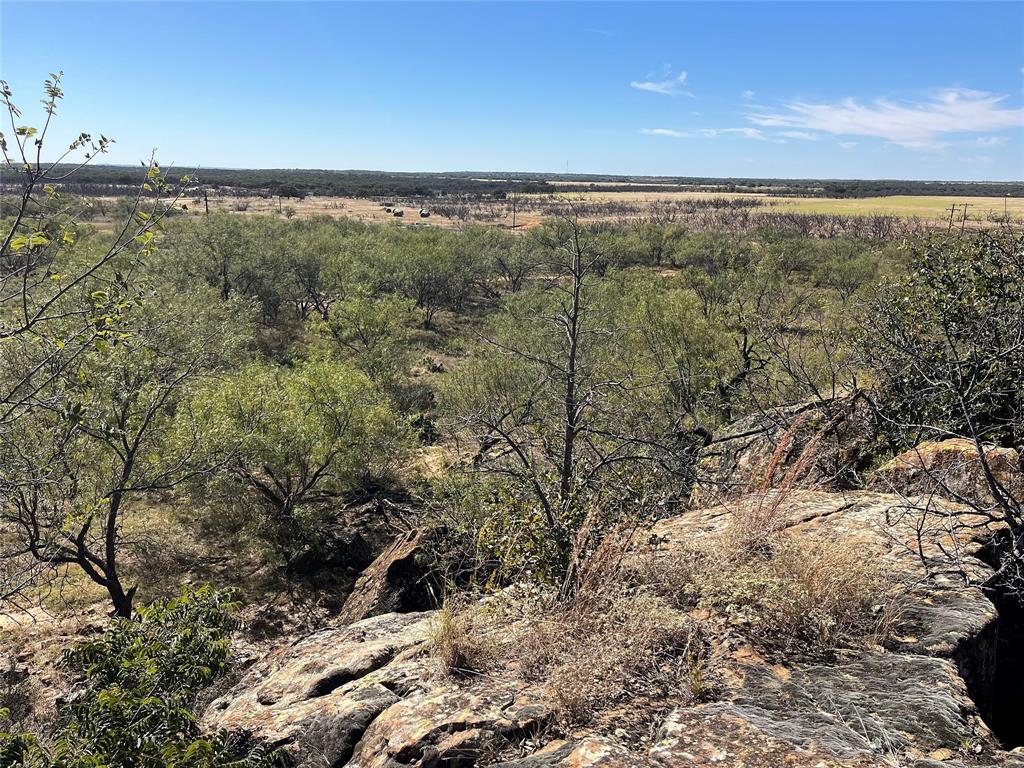 0 Fm 175 Henrietta, TX 76365 - Photo 7 of 35 a view of an ocean from a yard