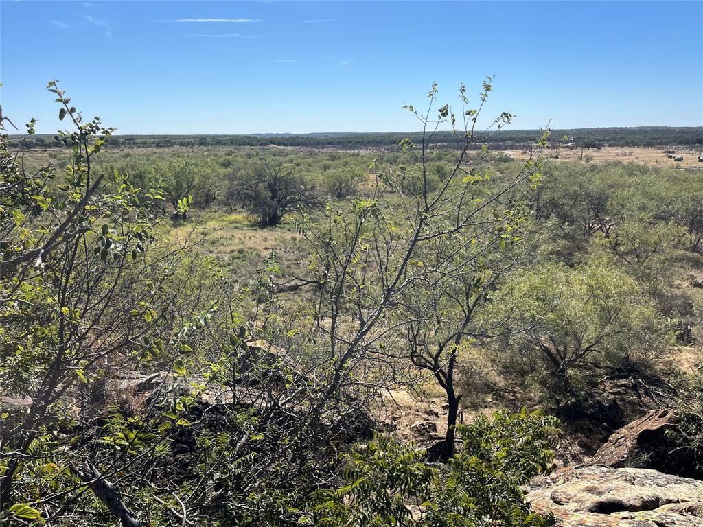 0 Fm 175 Henrietta, TX 76365 - Photo 8 of 35 a view of ocean and green space