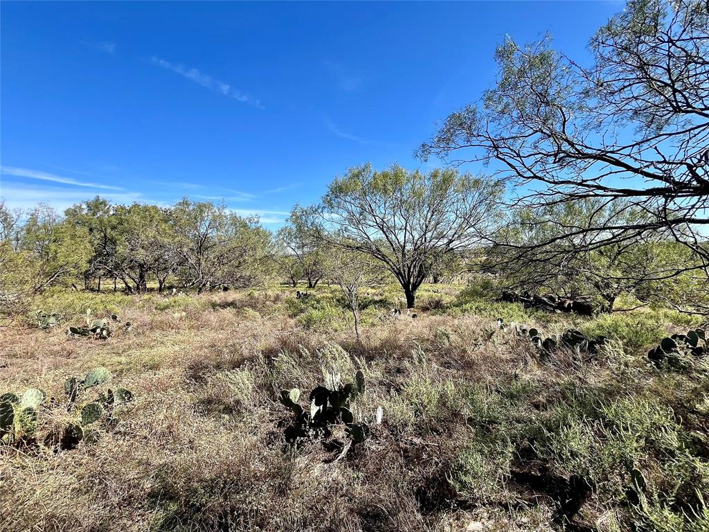 0 Fm 175 Henrietta, TX 76365 - Photo 9 of 35 a view of a yard with a tree