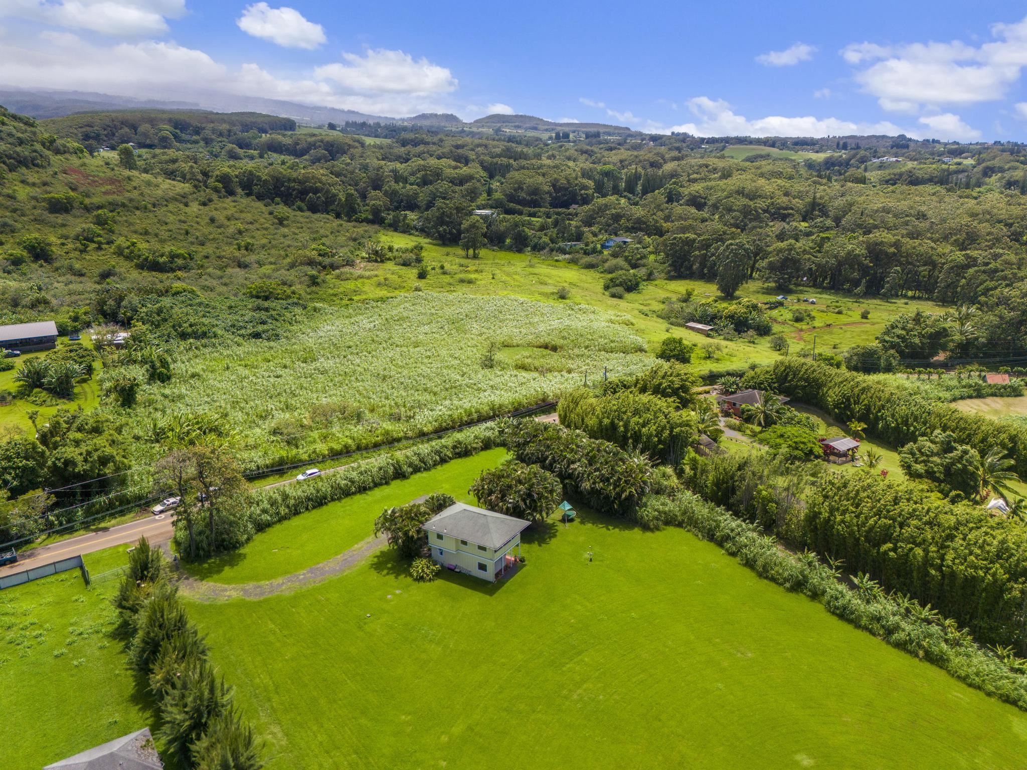 654 Kaupakalua Road Haiku, HI 96708 - Photo 13 of 15