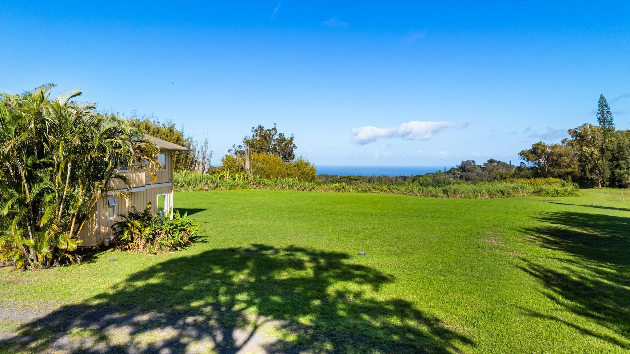 654 Kaupakalua Road Haiku, HI 96708 - Photo 6 of 15