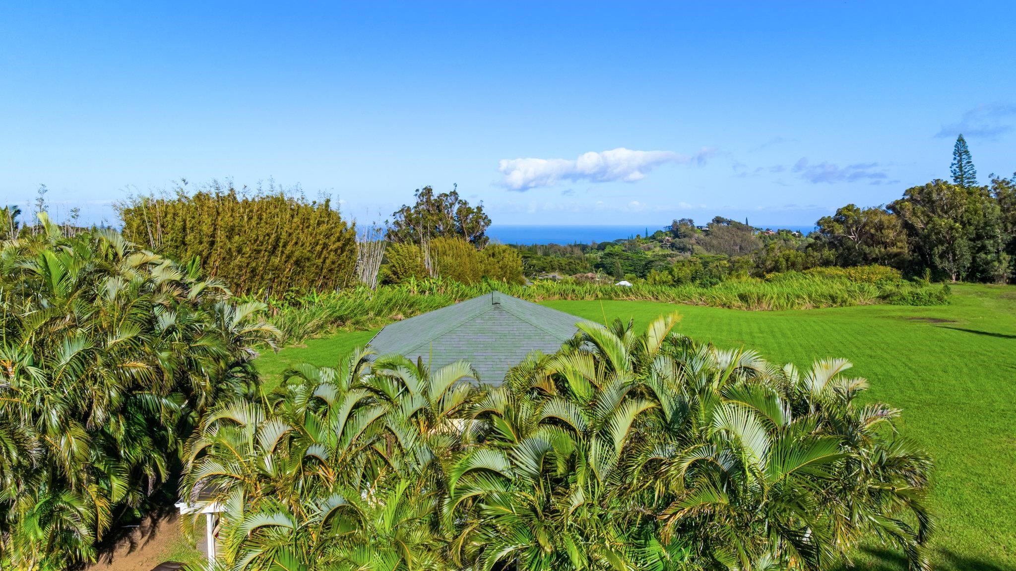 654 Kaupakalua Road Haiku, HI 96708 - Photo 7 of 15