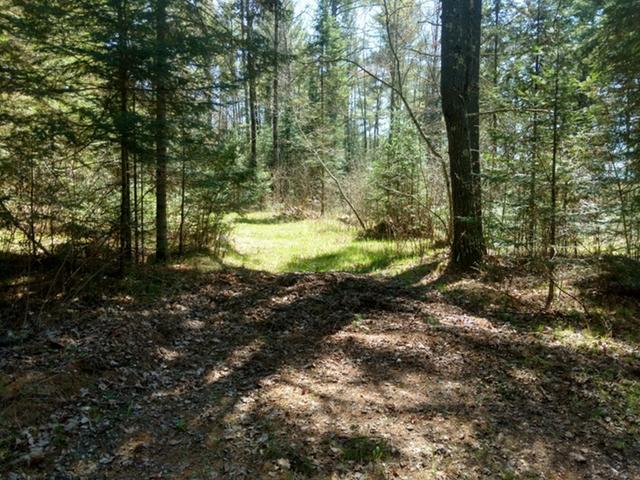 N13597 Crowley Road Park Falls, WI 54552 - Photo 6 of 20 Gallery Image 6