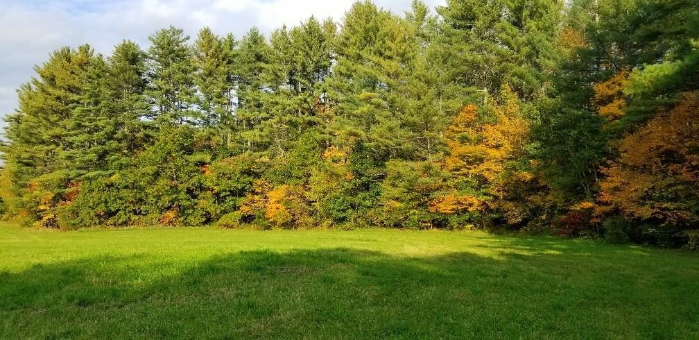 Tbd Sandy River Road Norridgewock, ME 04957 - Photo 5 of 12 Photo