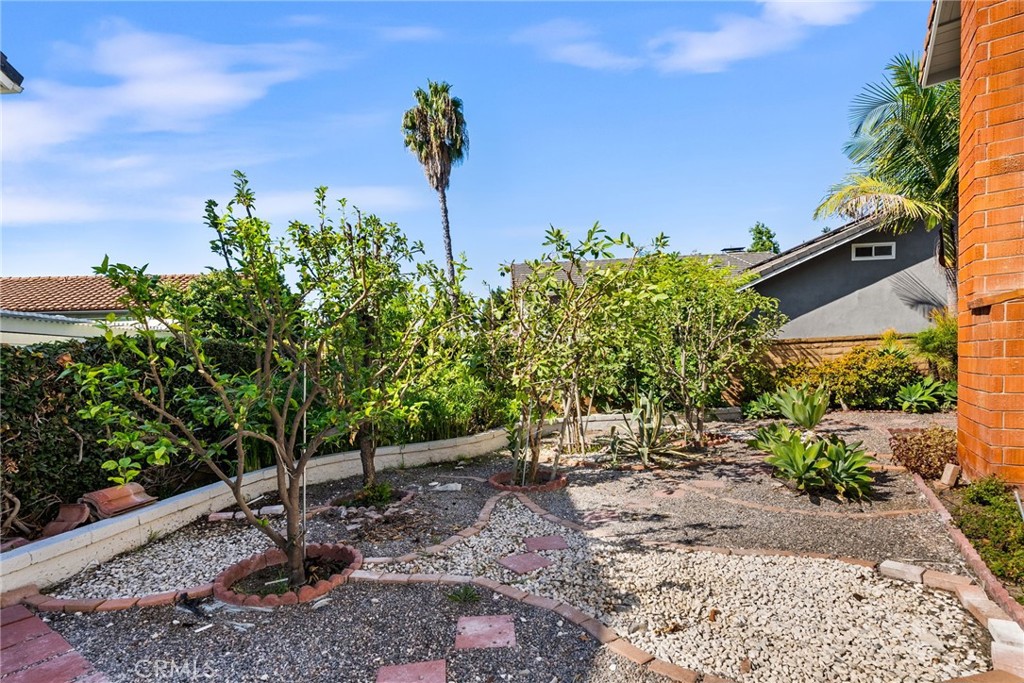 24746 Scott Lane Lake Forest, CA 92630 - Photo 28 of 31 a view of a backyard with plants and a tree