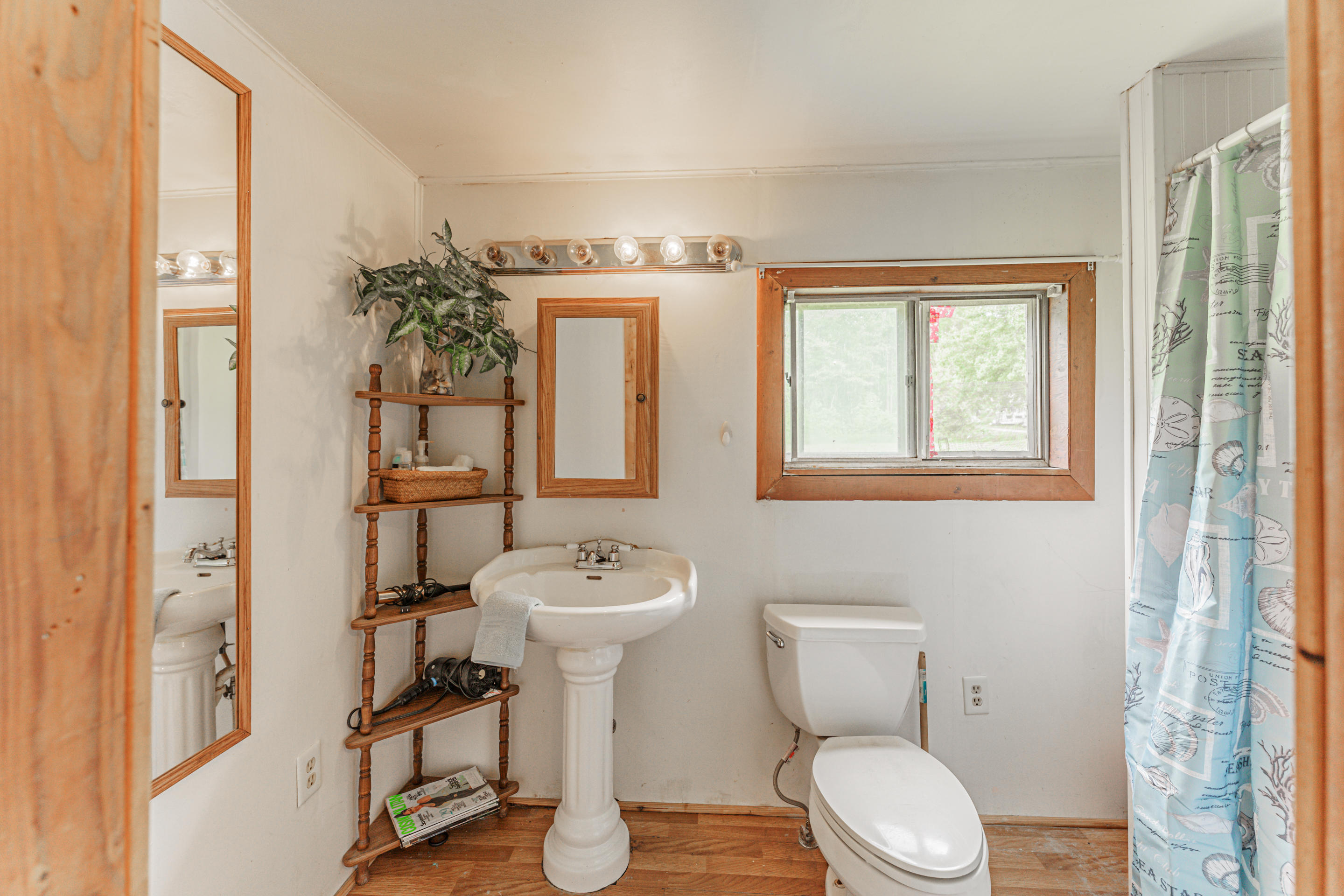 2536 Pine Grove Road Winfield, TN 37892 - Photo 10 of 17 _DSC0596-HDR