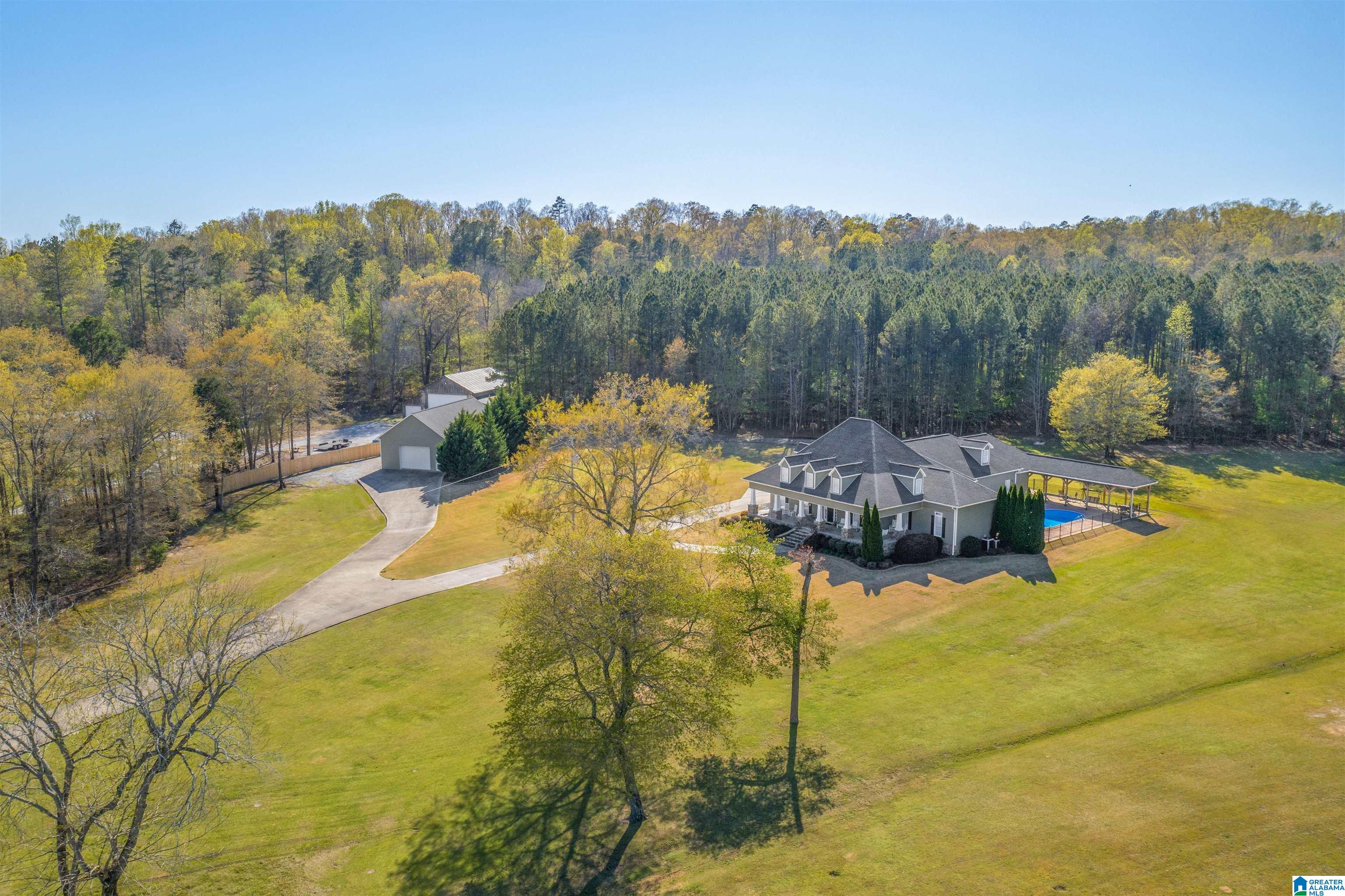 6819 Nisbet Lake Road Jacksonville, AL 36265 - Photo 4 of 50