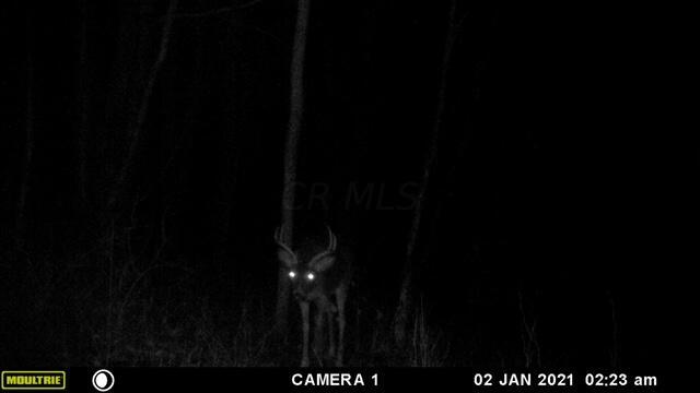 57640 St John Road Quaker City, OH 43773 - Photo 3 of 51 Buck-2