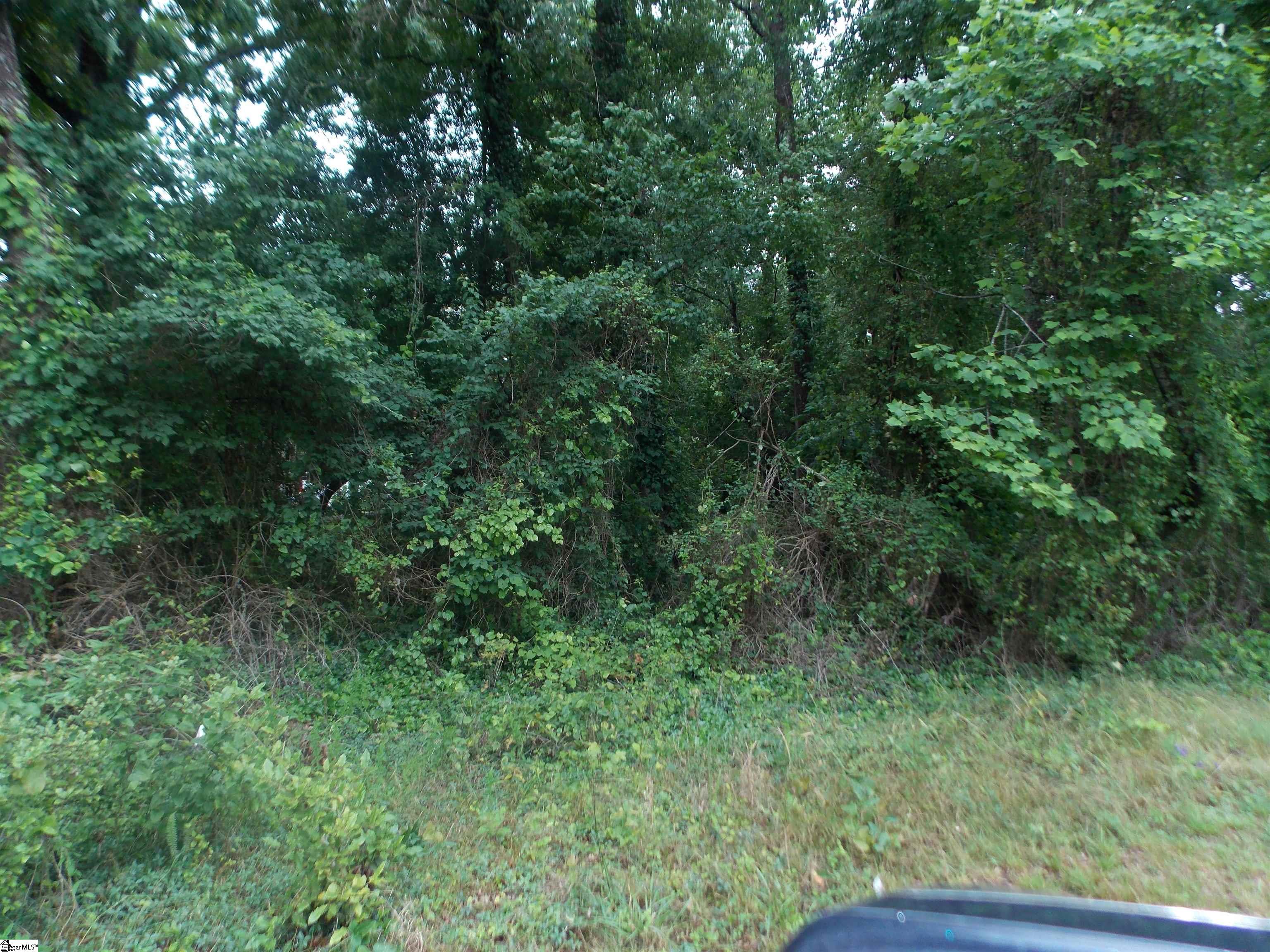 311-aa Shirley Road Piedmont, SC 29673 - Photo 2 of 4