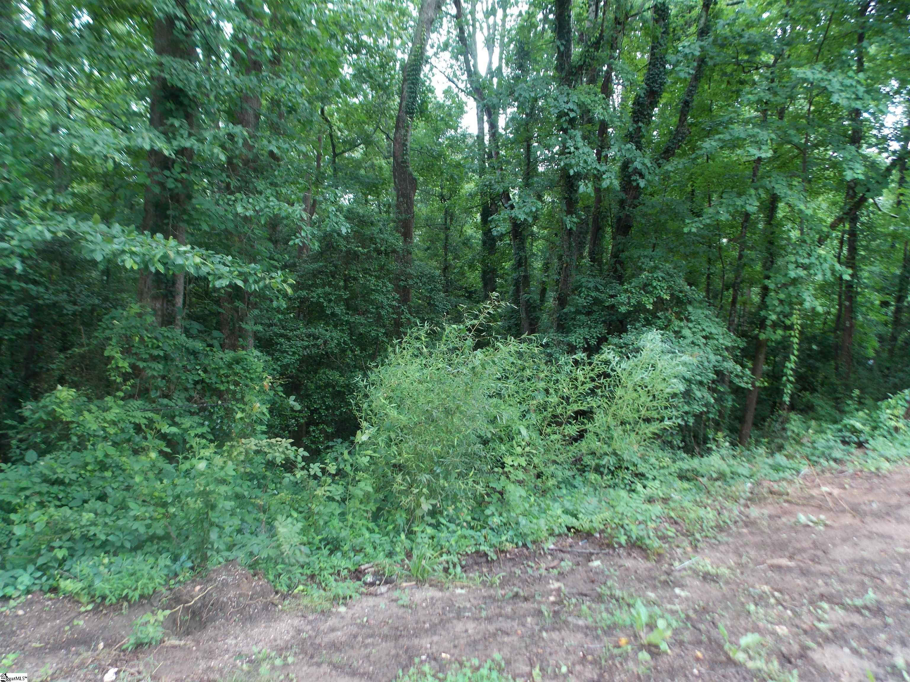 311-aa Shirley Road Piedmont, SC 29673 - Photo 3 of 4