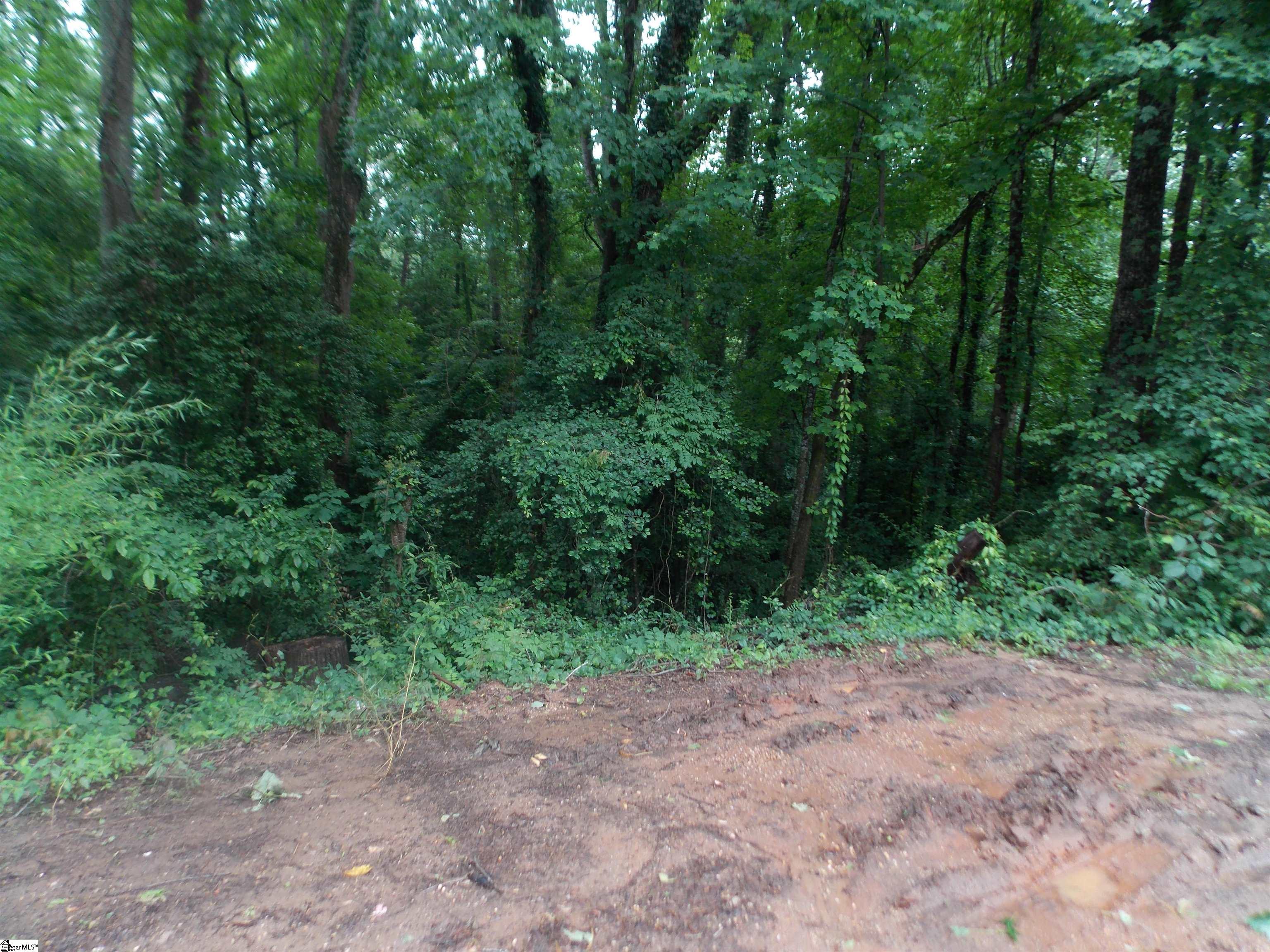 311-aa Shirley Road Piedmont, SC 29673 - Photo 4 of 4