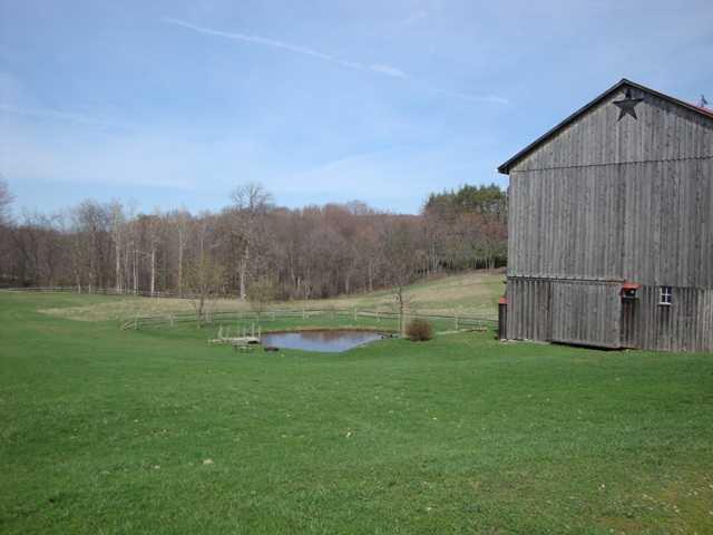 5089 Purchase Line Road Commodore, PA 15729 - Photo 14 of 15 Land. View with barn