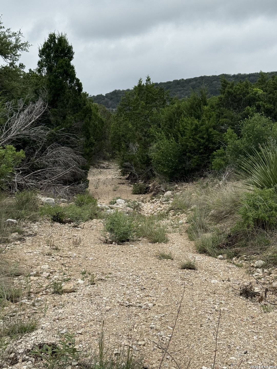 2190 Cr 650 Rocksprings Tx 78880 Del Rio, TX 78840 - Photo 53 of 62 Gallery Image 53