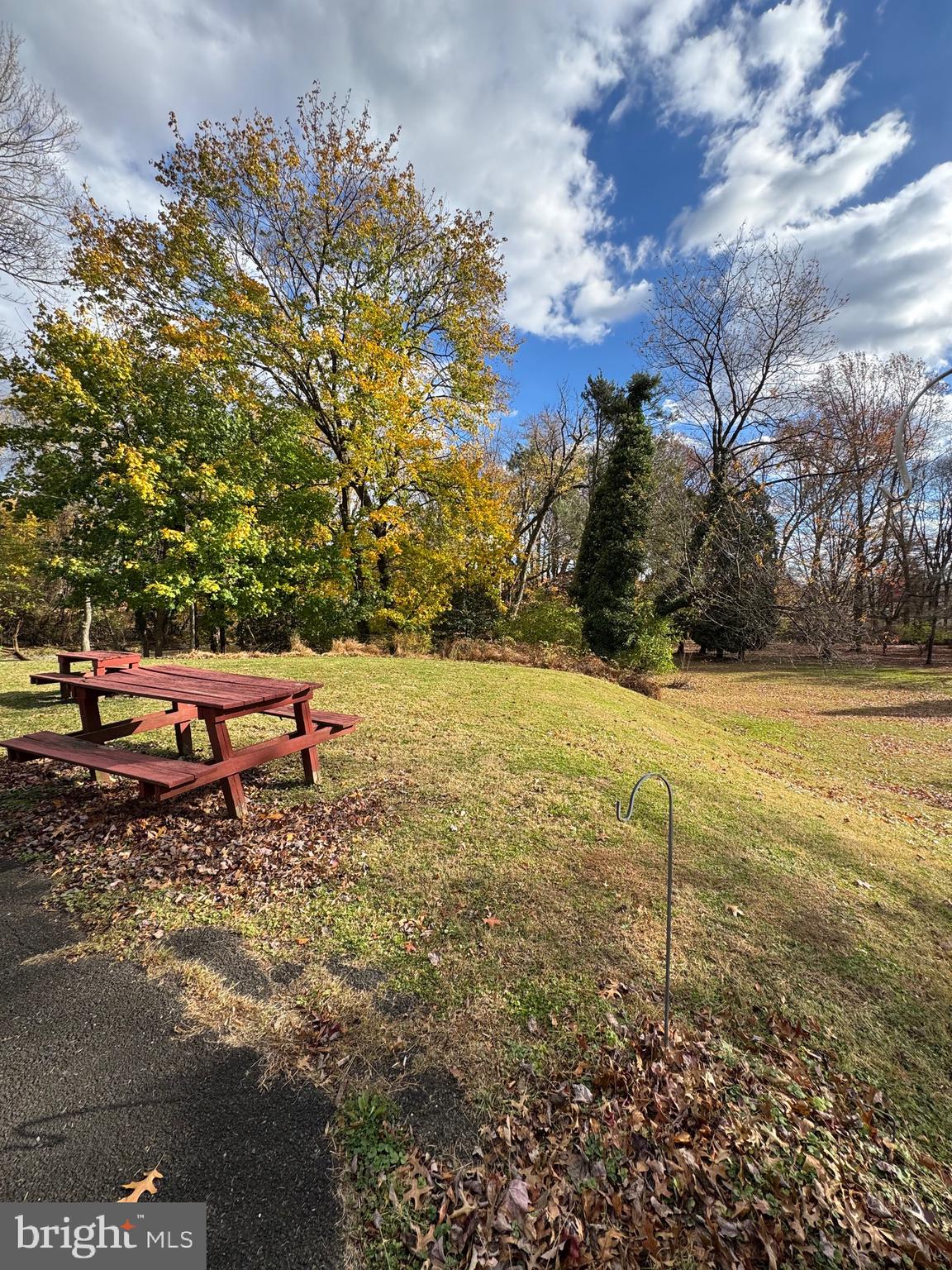 9821 Verree Road Philadelphia, PA 19115 - Photo 22 of 24 Yard