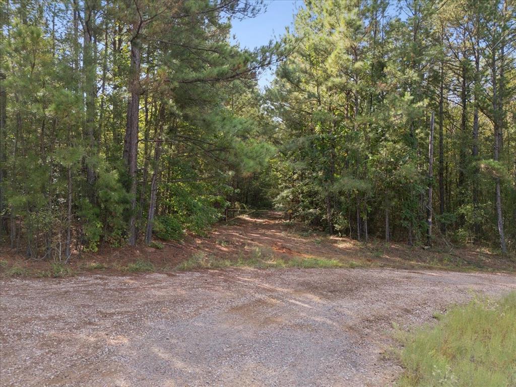 500 Uren Lee Road Overton, TX 75684 - Photo 6 of 18 a view of a yard with a tree