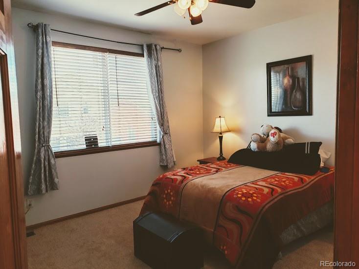 290 Avocet Loop Colorado Springs, CO 80921 - Photo 7 of 10 Gallery Image 7