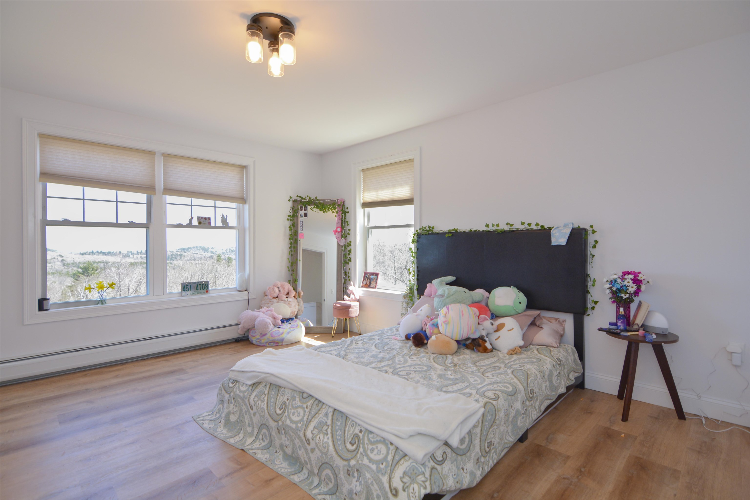 911 Valley Road Washington, NH 03280 - Photo 22 of 58