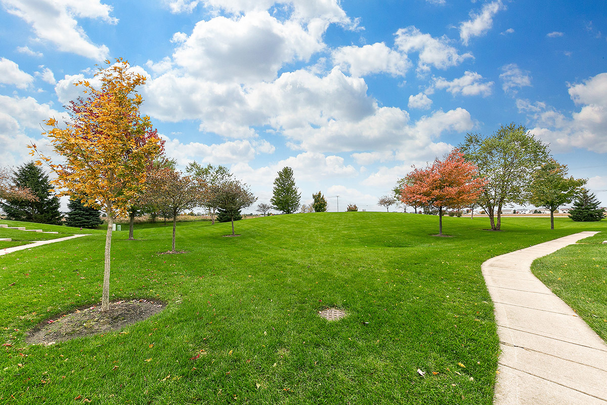 14626 Thomas Jefferson Drive Plainfield, IL 60544 - Photo 22 of 22