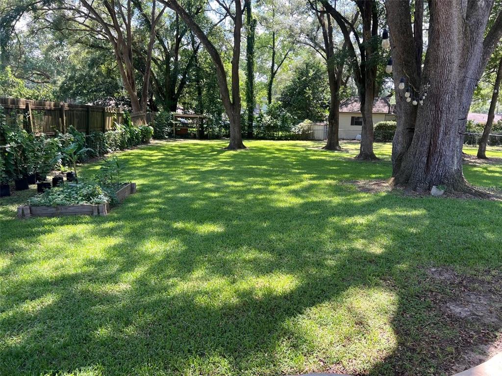 1928 Lawson Road Tallahassee, FL 32308 - Photo 20 of 20 a big yard with lots of green space and trees