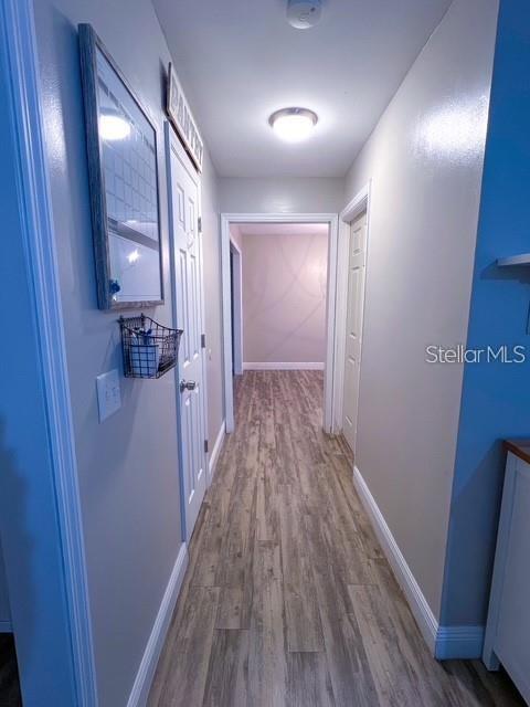 1928 Lawson Road Tallahassee, FL 32308 - Photo 5 of 20 a view of a hallway with wooden floor