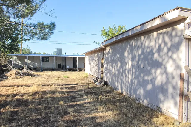 a view of a backyard with a tree