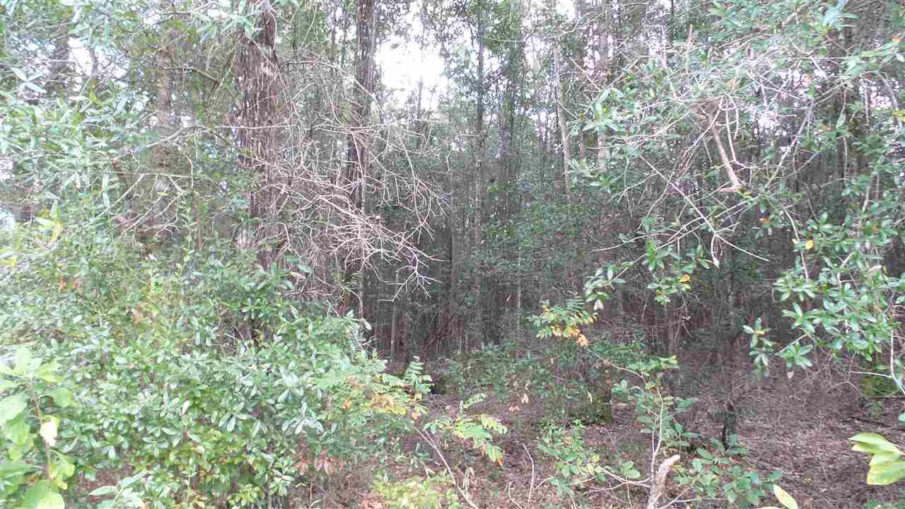 0 Old Weekley Road, Unit PARCEL B Bay Minette, AL 36507 - Photo 5 of 20
