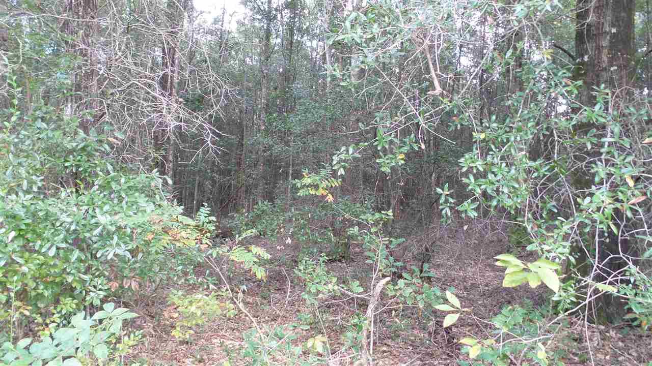0 Old Weekley Road, Unit PARCEL B Bay Minette, AL 36507 - Photo 6 of 20