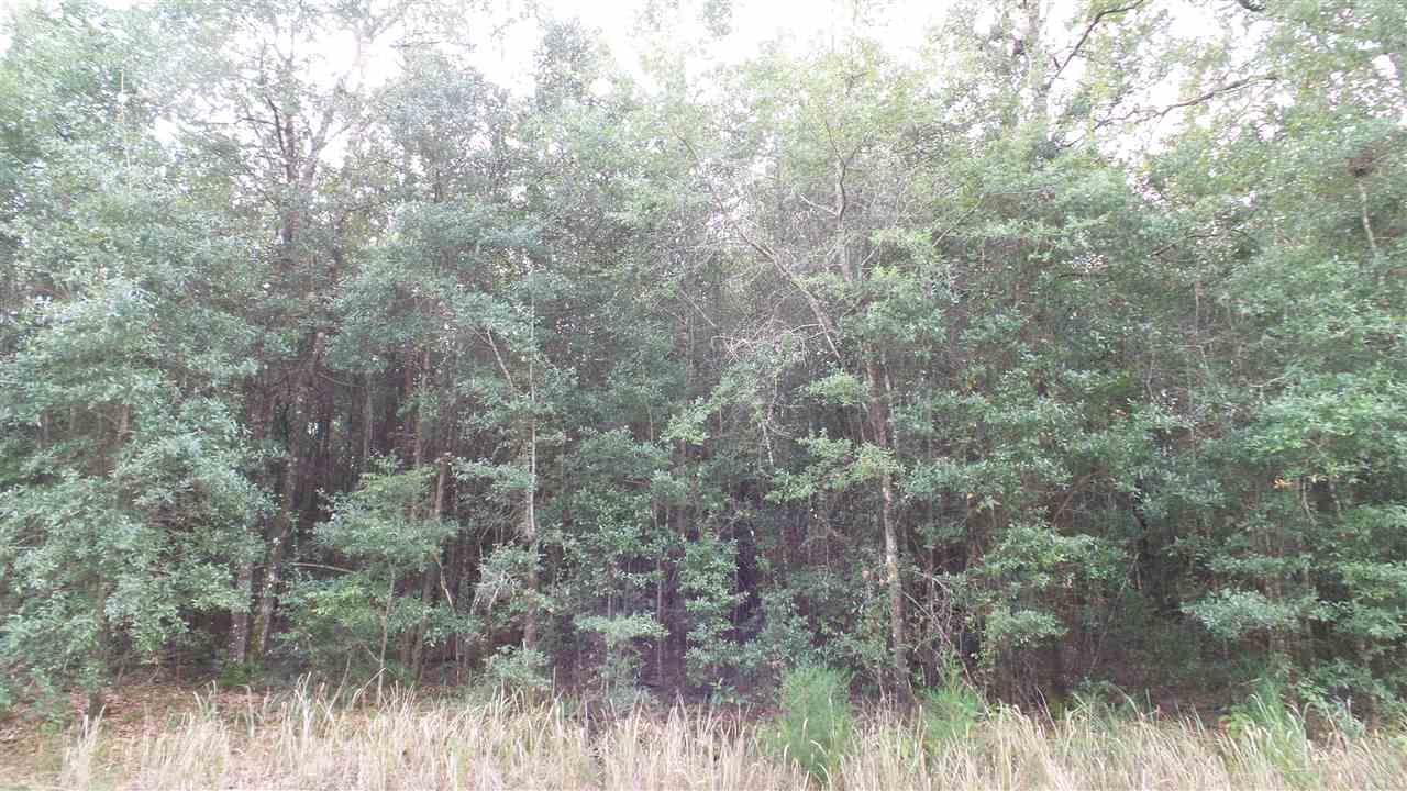 0 Old Weekley Road, Unit PARCEL B Bay Minette, AL 36507 - Photo 7 of 20