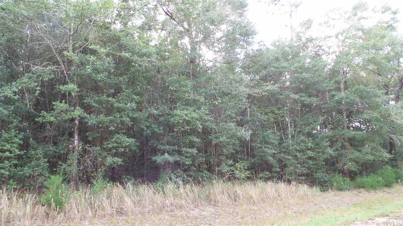 0 Old Weekley Road, Unit PARCEL B Bay Minette, AL 36507 - Photo 8 of 20