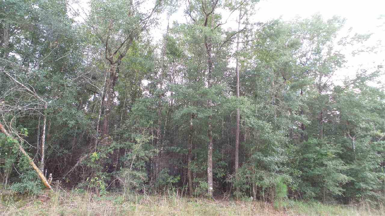 0 Old Weekley Road, Unit PARCEL B Bay Minette, AL 36507 - Photo 9 of 20