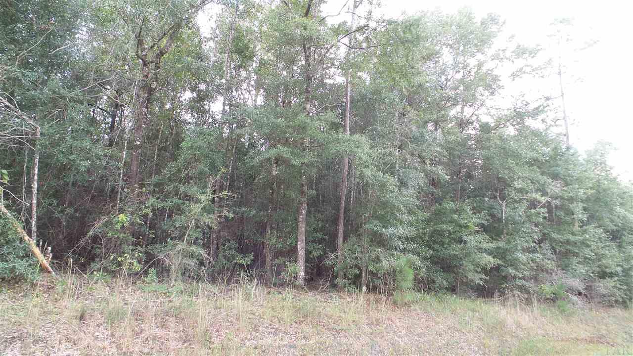 0 Old Weekley Road, Unit PARCEL B Bay Minette, AL 36507 - Photo 10 of 20