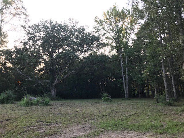 1 Styx River Road Stapleton, AL 36578 - Photo 8 of 11