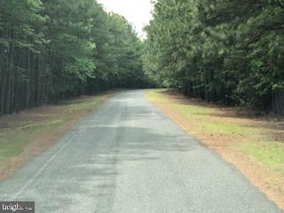 Lot 11 Peaceful Way Exmore, VA 23350 - Photo 1 of 21 a view of a yard