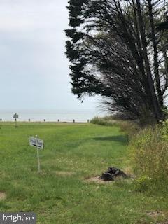 Lot 11 Peaceful Way Exmore, VA 23350 - Photo 16 of 21 a view of a green field with lots of bushes