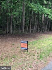 Lot 11 Peaceful Way Exmore, VA 23350 - Photo 19 of 21 a view of a yard with trees
