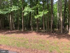 Lot 11 Peaceful Way Exmore, VA 23350 - Photo 20 of 21 a view of outdoor space with trees