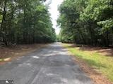 Lot 11 Peaceful Way Exmore, VA 23350 - Photo 2 of 21 a view of backyard with tree