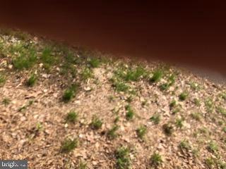Lot 11 Peaceful Way Exmore, VA 23350 - Photo 3 of 21 a view of yard from balcony