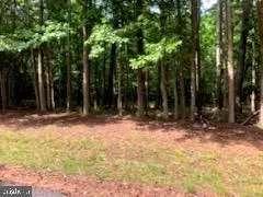 $75,000 | Lot 11 Peaceful Way, Exmore, VA 23350
