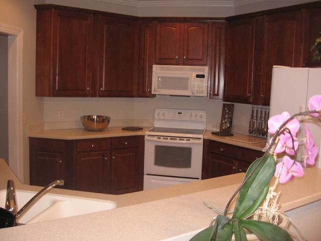 113 Gayle Ridge Drive Easley, SC 29642 - Photo 6 of 20 Gallery Image 6