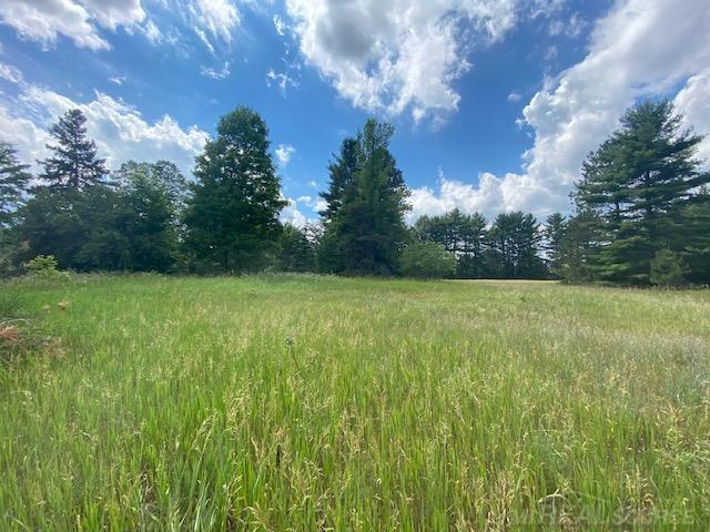 2724 West County Road Grayling, MI 49738 - Photo 41 of 43