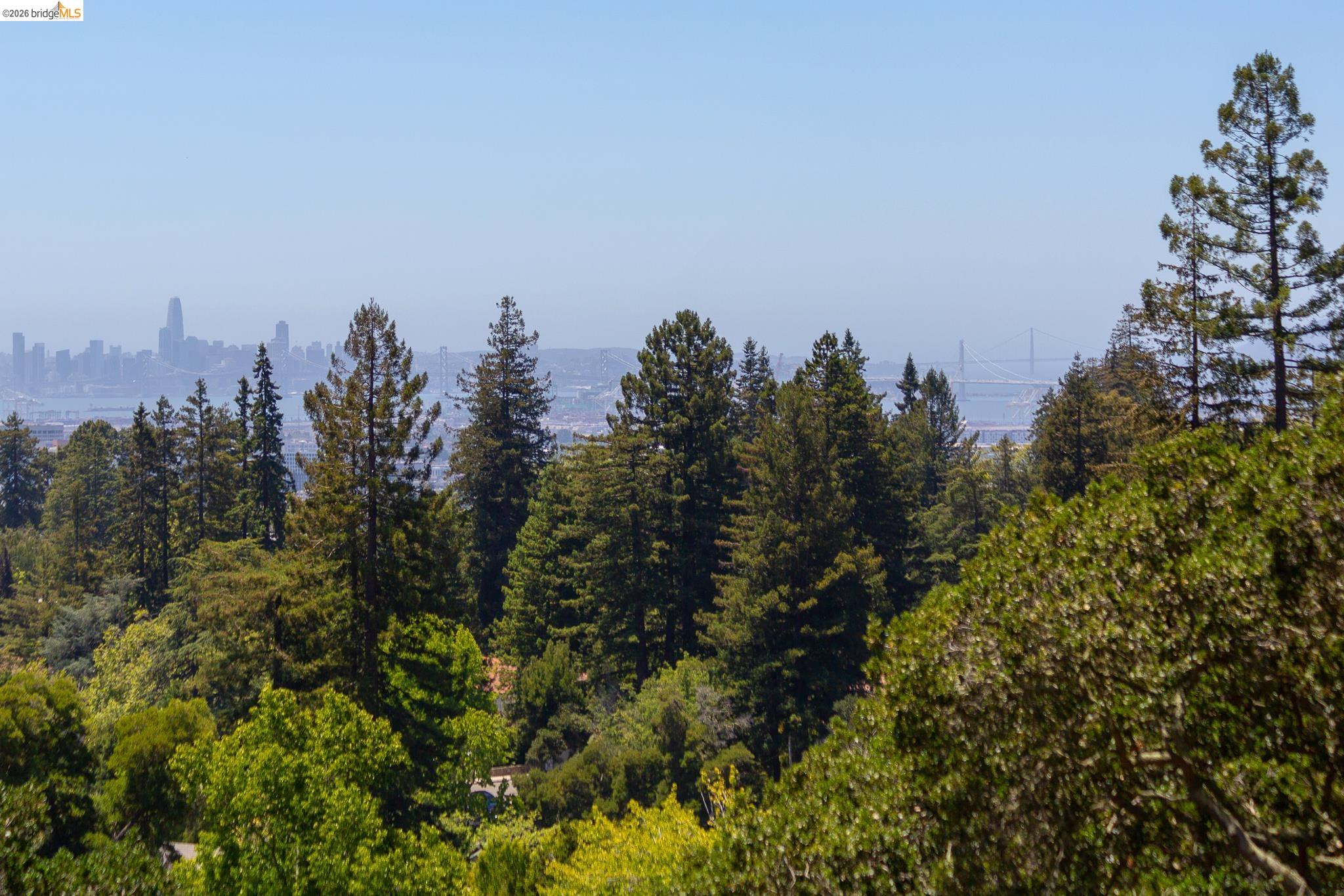 110 Somerset Road Piedmont, CA 94611 - Photo 13 of 82