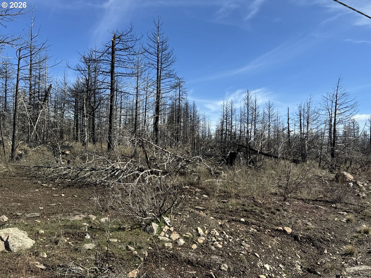 Hummingbird Drive, Unit 1 Bonanza, OR 97623 - Photo 10 of 38