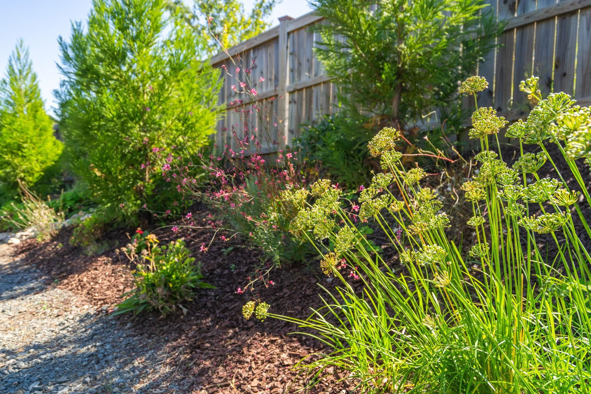 202 Cardinal Ridge Road Chapel Hill, NC 27516 - Photo 42 of 60 Photo 42
