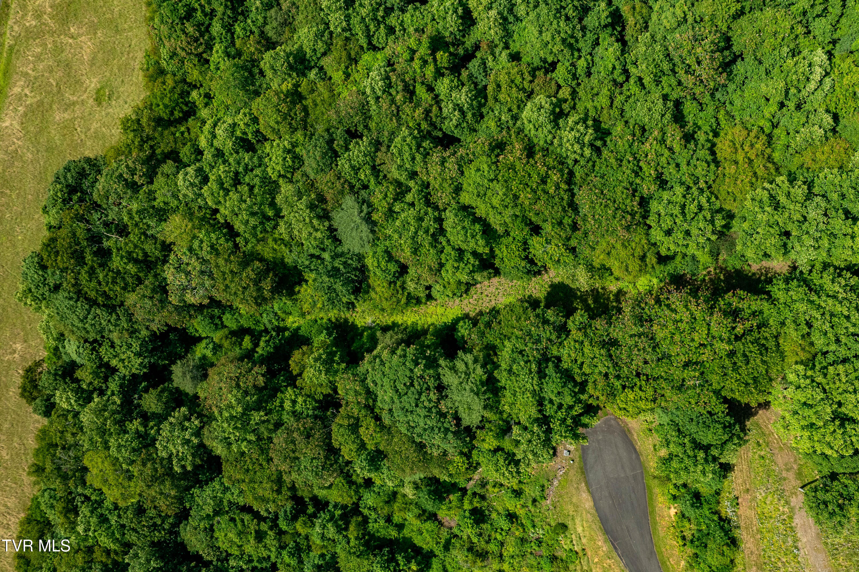 Lot 30 Lake Ridge Road, Unit 30 Butler, TN 37640 - Photo 2 of 30 Lot 30 (2 of 29)