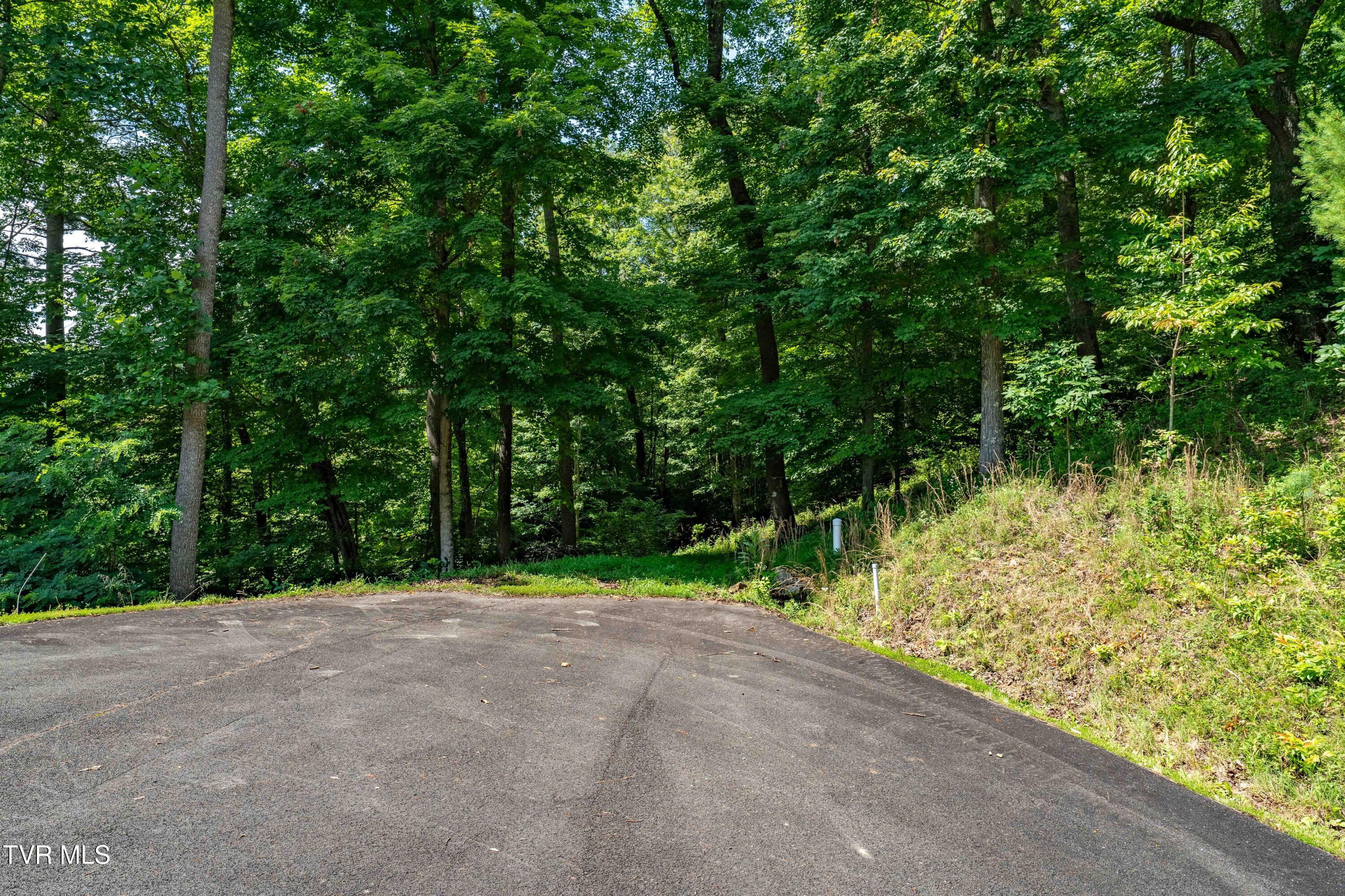 Lot 30 Lake Ridge Road, Unit 30 Butler, TN 37640 - Photo 27 of 30 Lot 30 (27 of 29)