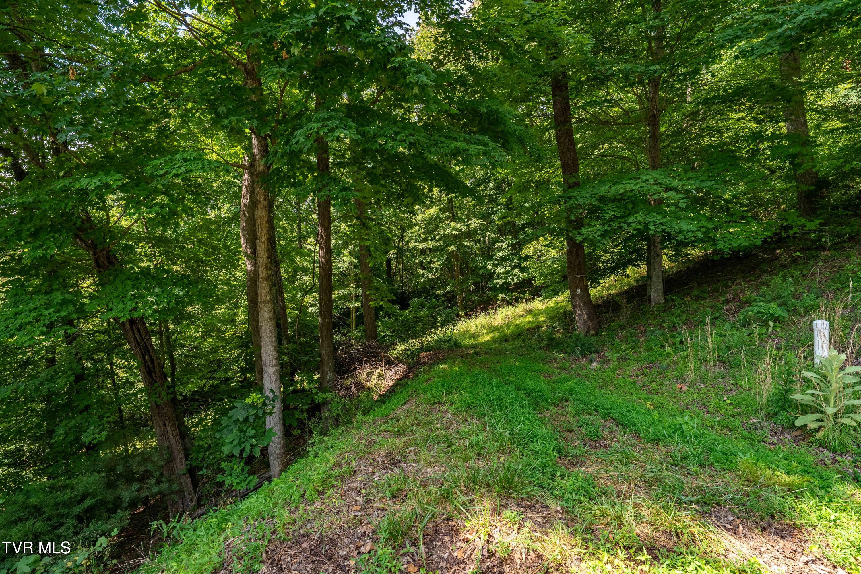 Lot 30 Lake Ridge Road, Unit 30 Butler, TN 37640 - Photo 28 of 30 Lot 30 (28 of 29)