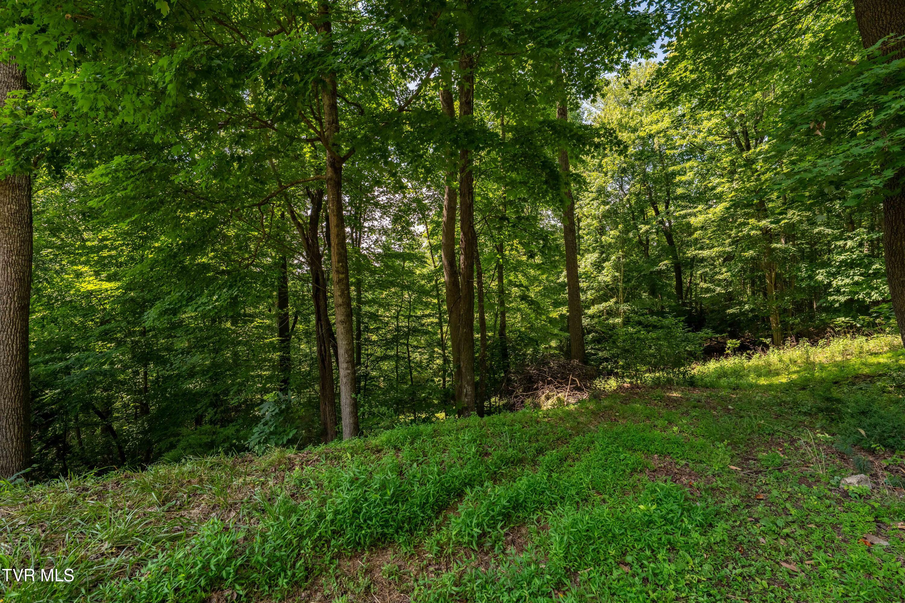 Lot 30 Lake Ridge Road, Unit 30 Butler, TN 37640 - Photo 29 of 30 Lot 30 (29 of 29)