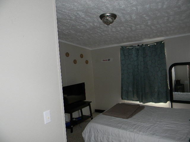 322 Nim Road Red Boiling Springs, TN 37150 - Photo 14 of 17