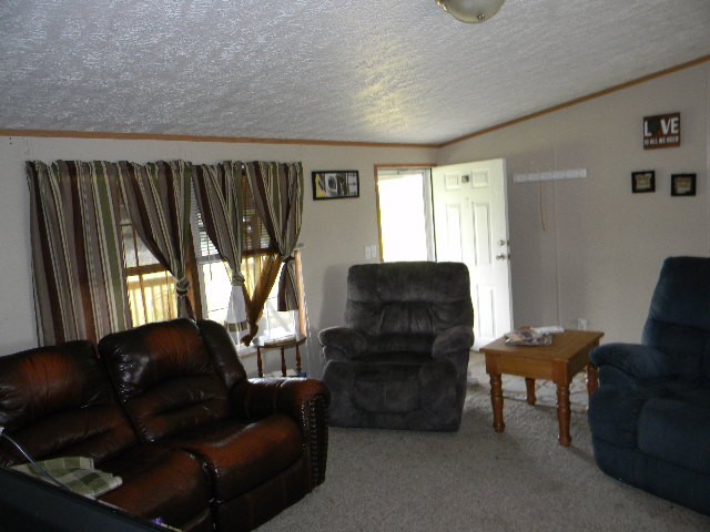 322 Nim Road Red Boiling Springs, TN 37150 - Photo 15 of 17